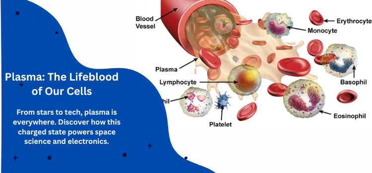 What Is Plasma? A Deep Dive into Its Uses and Benefits