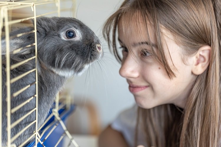 Why Don’t Most Animals Get STDs? Scientific Insights